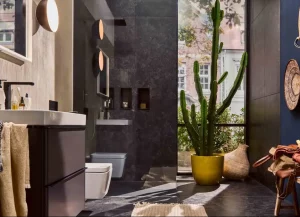 holistic-bathroom_better-e_ambianc-with-cactus